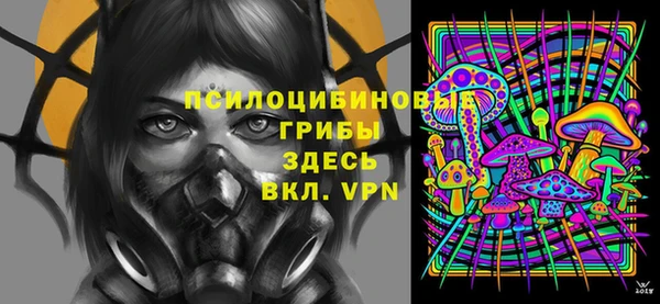 молекула духа Майский