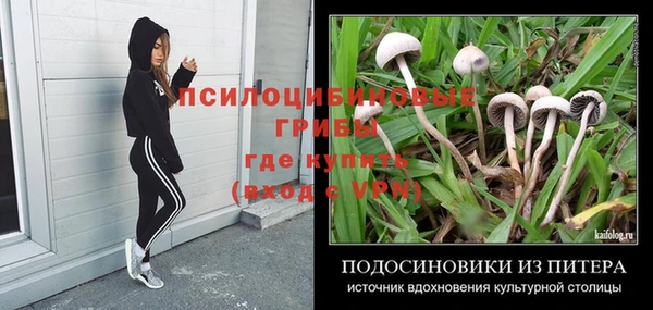 гидра Магас