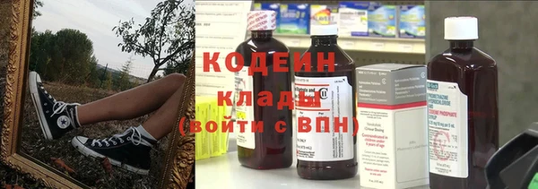 молекула духа Майский