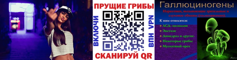 закладки  Новокузнецк  Псилоцибиновые грибы мухоморы 