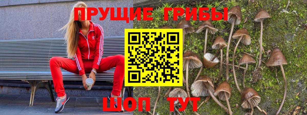 Галлюциногенные грибы MAGIC MUSHROOMS  Галлюциногенные грибы Psilocybe  Вход с VPN  Новокузнецк 