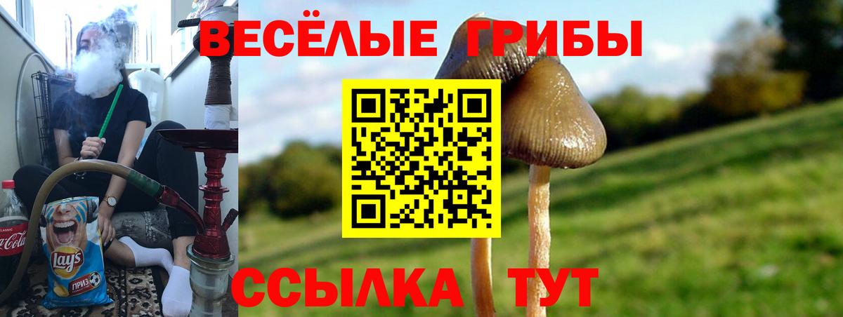 Псилоцибиновые грибы Magic Shrooms Новокузнецк